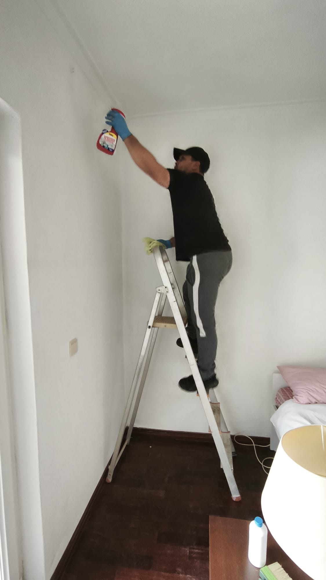 Serviço profissional da LuxClean